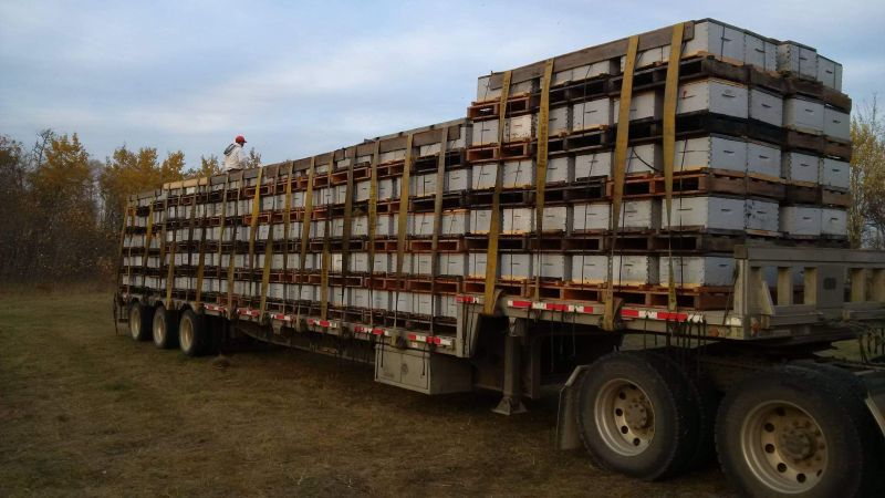 Nearly all done in Saskatchewan!