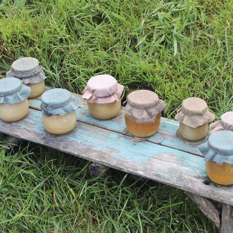 Jars of honey at different levels of crystallization on a wooden bench