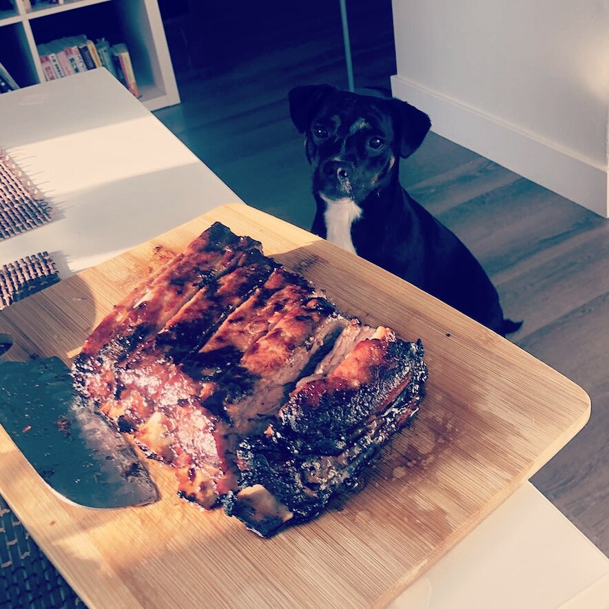 Honey-Glazed Chinese BBQ Pork being stared at by a hungry dog