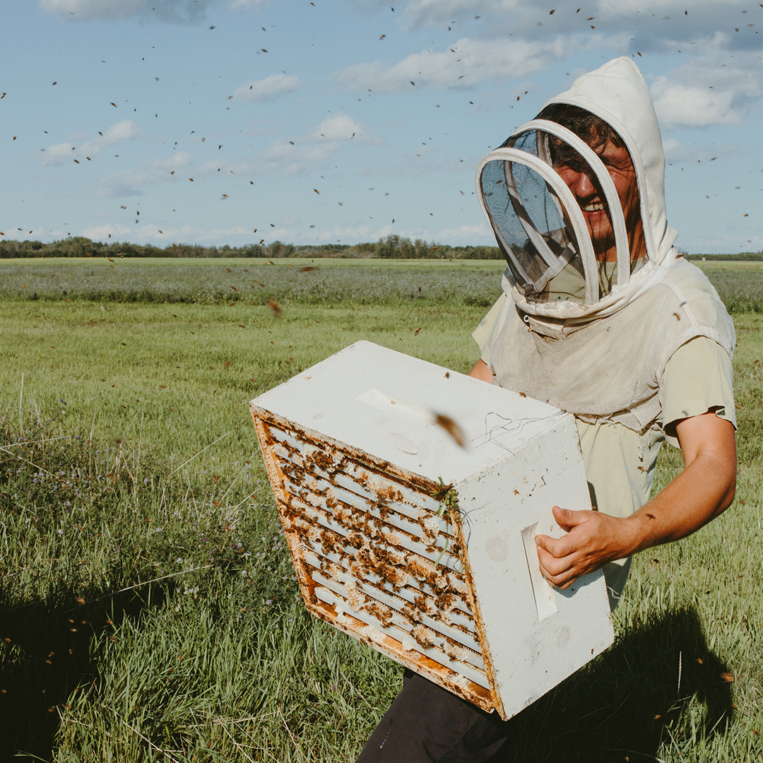 Andrew smiling wearing a beekeeping veil while holding a bee box